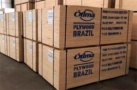 brazil-plywood-1.jpg